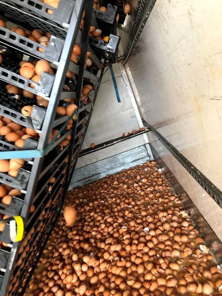 Rođeni pod (ne)sretnom zvijezdom: Ovim se ljudima život zamjerio