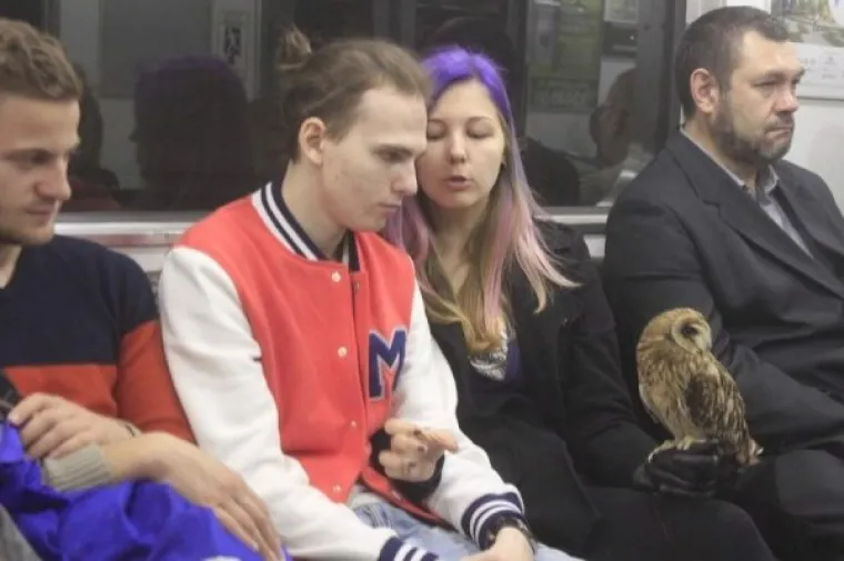 KAD OVO VIDITE BIT ĆE VAM DRAGO &Scaron;TO NEMAMO PODZEMNU: 15 prizora iz srca pakla. Ovaj... Iz srca metroa