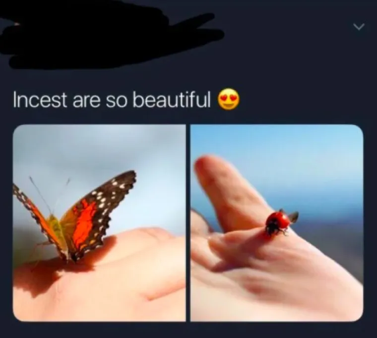 BRUKA KAKVU ODAVNO NE PAMTIMO: Poku&scaron;ajte ne poludjeti na ove junake koji ne barataju osnovnim pojmovima