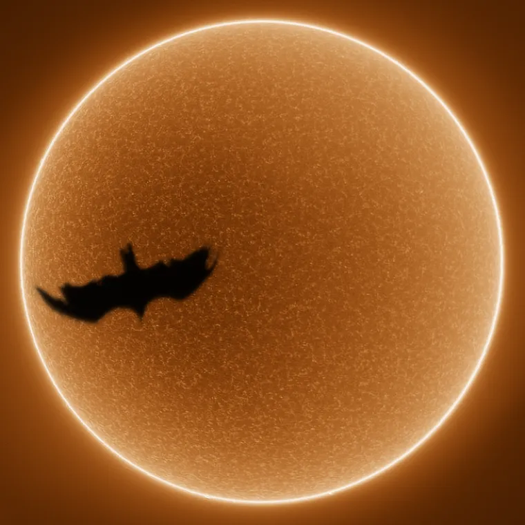 SAVRŠENO TEMPIRANE FOTOGRAFIJE: Tajming je bio na njihovoj strani kada su uhvatili ova čudesa