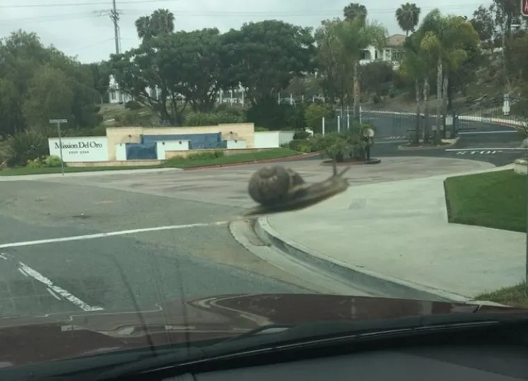 SAVR&Scaron;ENO TEMPIRANE FOTOGRAFIJE: Tajming je bio na njihovoj strani kada su uhvatili ova čudesa