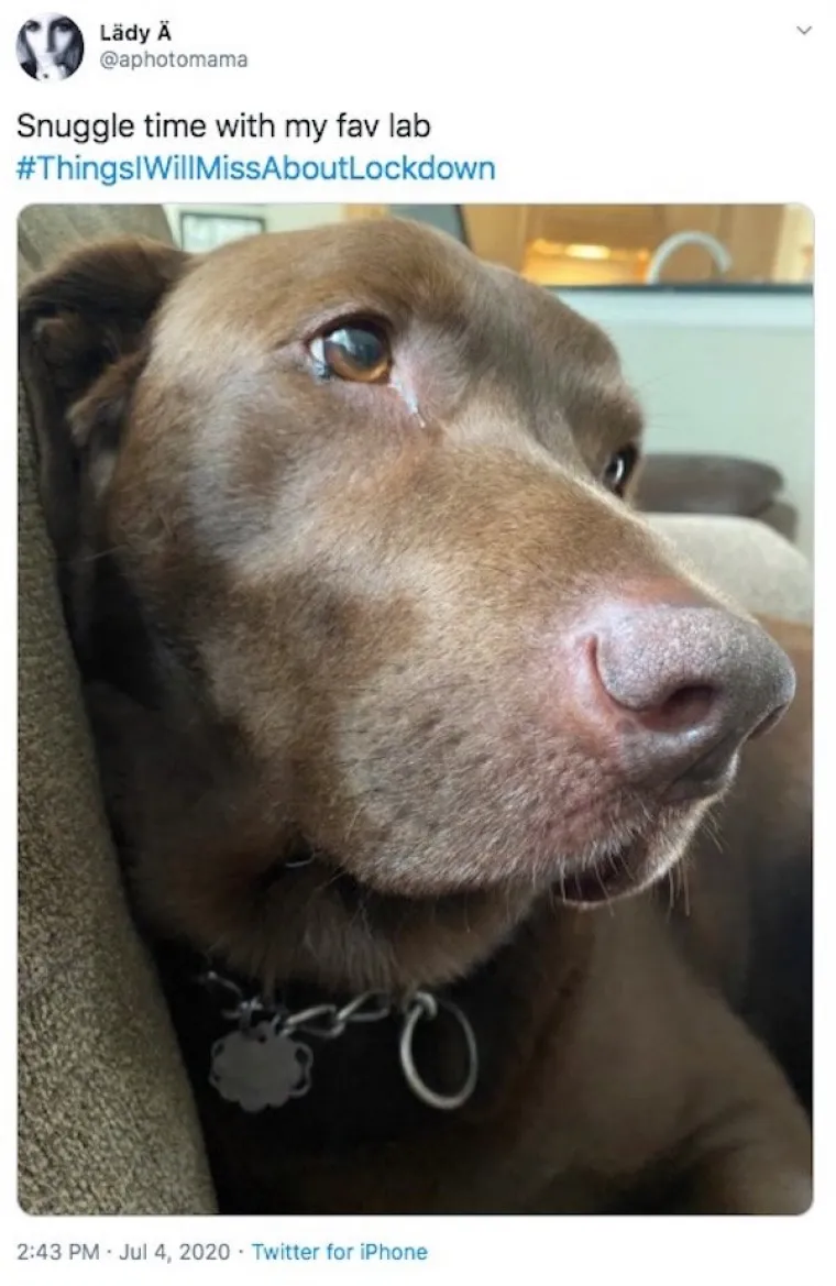 'HODANJE BEZ GRUDNJAKA I PRAZNE ULICE': Ljudi otkrili &scaron;to će im sve nedostajati iz doba potpune karantene