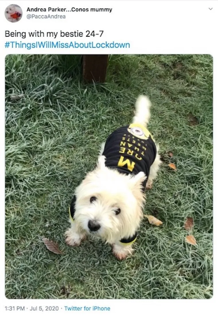 'HODANJE BEZ GRUDNJAKA I PRAZNE ULICE': Ljudi otkrili &scaron;to će im sve nedostajati iz doba potpune karantene