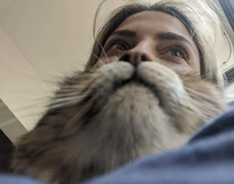 VI&Scaron;E SREĆE NEGO PAMETI: Ove fotke su prava remek-djela - zamislite koliko pehova i sretnih slučajnosti se moralo poklopiti za ovo