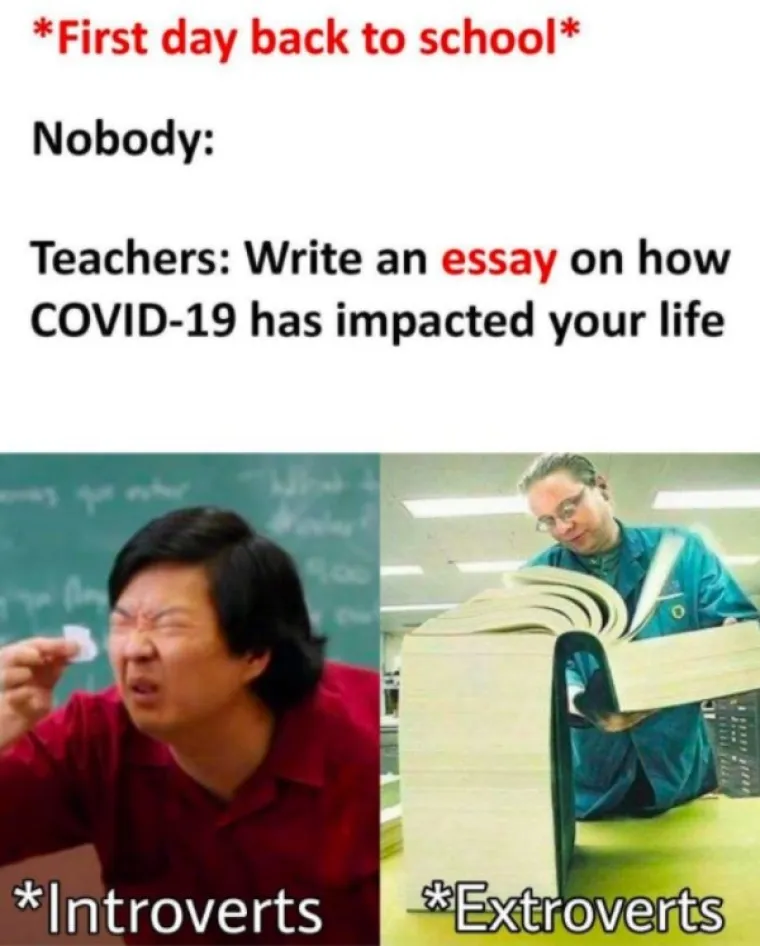 KORONA MEMOVI FRI&Scaron;KIJI OD VA&Scaron;E NAJNOVIJE MASKE: Svi su složni u jednome, 2020. je najčudnija godina ikad