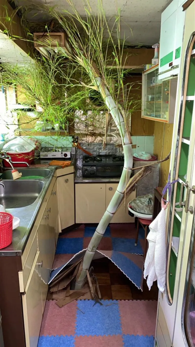 MISLITE DA JE VAMA VIKEND PLJUGA? Kad vidite &scaron;to je zadesilo ove jadnike, bit ćete sretni &scaron;to ste uopće živi