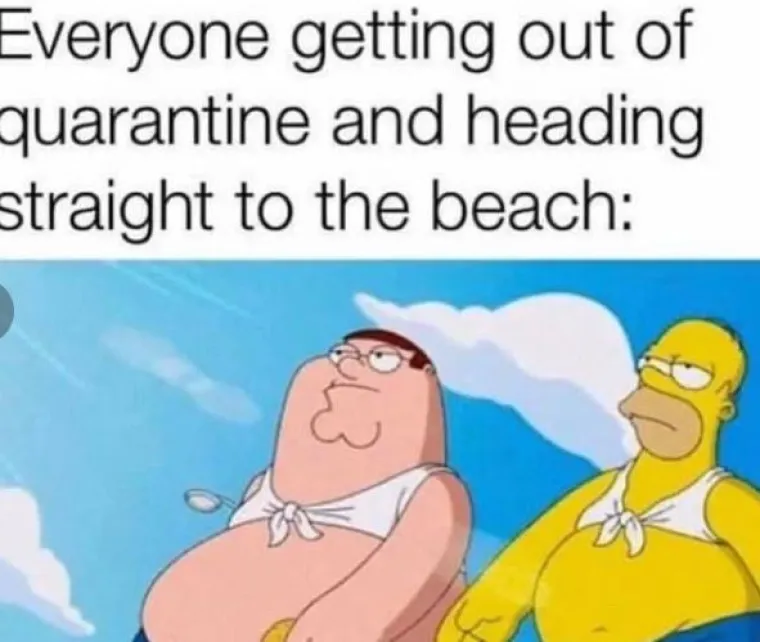 Nikad čudnije: Ovi memeovi najbolje opisuju ljeto 2020.