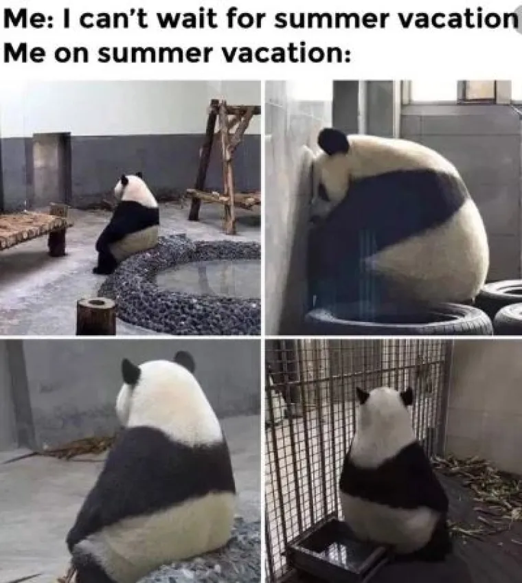 Nikad čudnije: Ovi memeovi najbolje opisuju ljeto 2020.