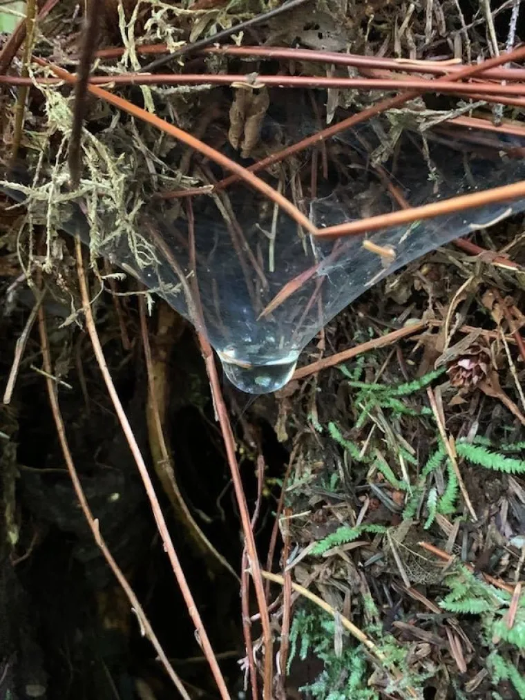 MOŽETE LI VJEROVATI DA JE OVO STVARNO SNIMLJENO? Ne, definitivno nije montaža. Ali sumnjat ćete do kraja