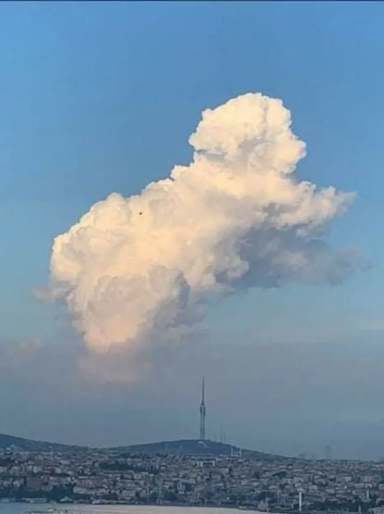 KADA STVARI POKAŽU SVOJE &lsquo;PRAVO LICE&rsquo;: Iluzije zbog kojih ćete se hvatati za glavu