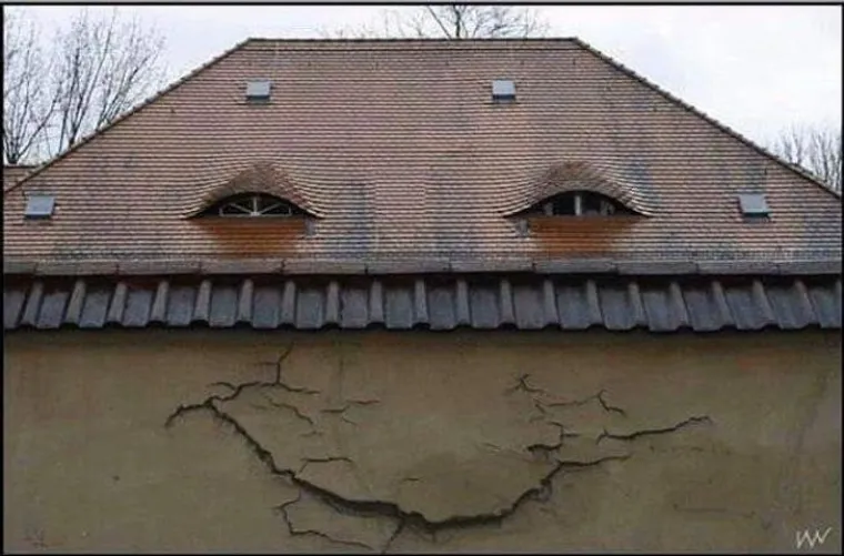 KADA STVARI POKAŽU SVOJE &lsquo;PRAVO LICE&rsquo;: Iluzije zbog kojih ćete se hvatati za glavu