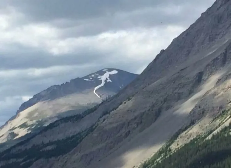 KADA STVARI POKAŽU SVOJE &lsquo;PRAVO LICE&rsquo;: Iluzije zbog kojih ćete se hvatati za glavu