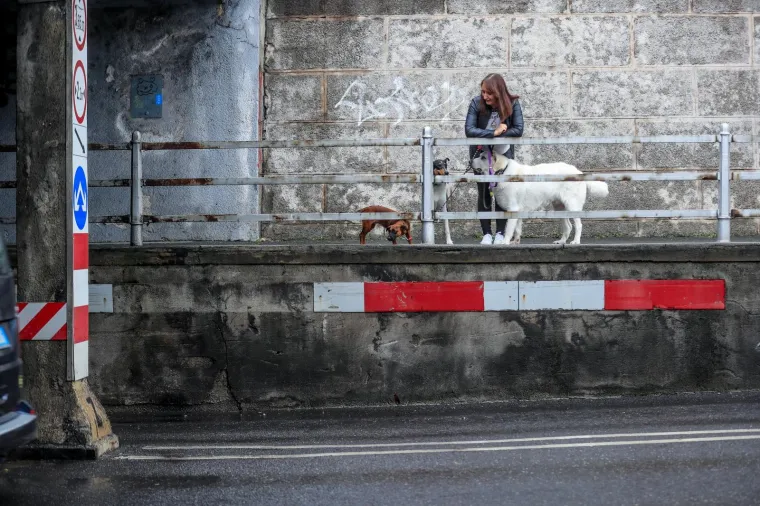 Njezinom herojstvu poklonila se cijela Hrvatska: Neustra&scaron;iva Mirna spasila je Josipa iz auta koji je tonuo