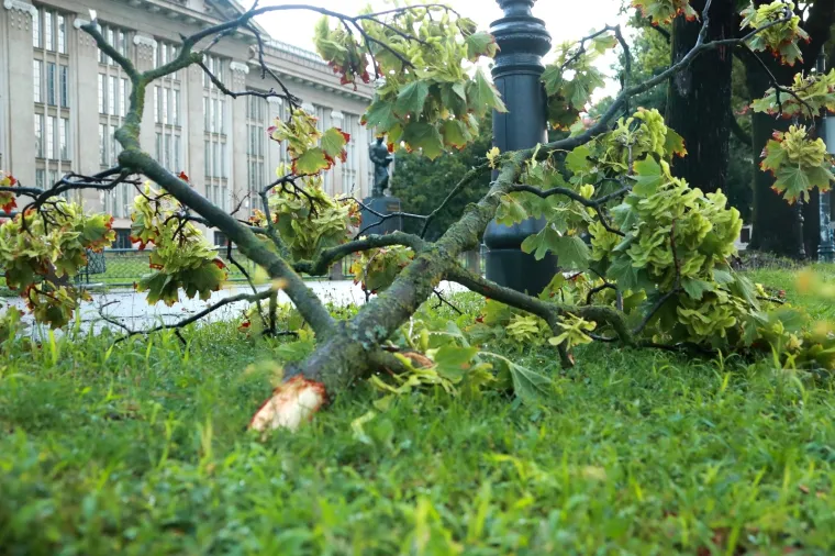 U Zagrebu opet kaos: Obilna ki&scaron;a sručila se nad grad. Ceste poplavljene, sru&scaron;ena su stabla...