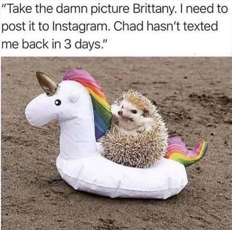 NOVA RUNDA - TKO SE PRVI NASMIJE GUBI: Zbog ovih bolno poznatih memova, izgubit ćete igru