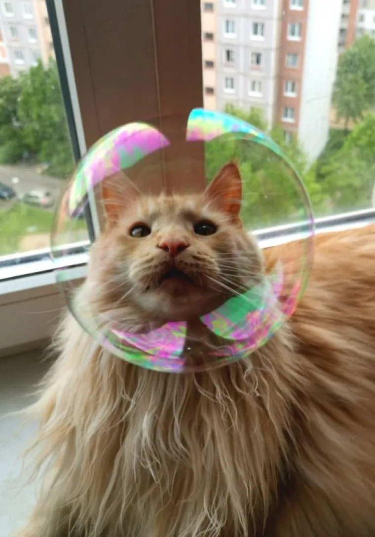 DA SU OKINULI FOTKU SAMO SEKUNDU KASNIJE, SVE BI BILO DRUGAČIJE: Evo, ovo je definicija 'pravog trenutka'