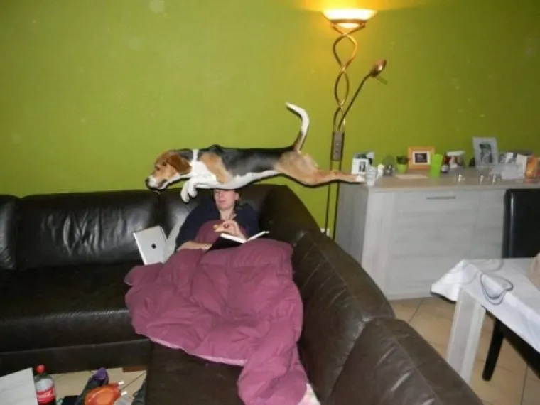 DA SU OKINULI FOTKU SAMO SEKUNDU KASNIJE, SVE BI BILO DRUGAČIJE: Evo, ovo je definicija 'pravog trenutka'