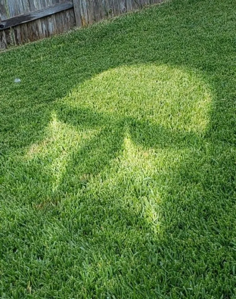 DA SU OKINULI FOTKU SAMO SEKUNDU KASNIJE, SVE BI BILO DRUGAČIJE: Evo, ovo je definicija 'pravog trenutka'