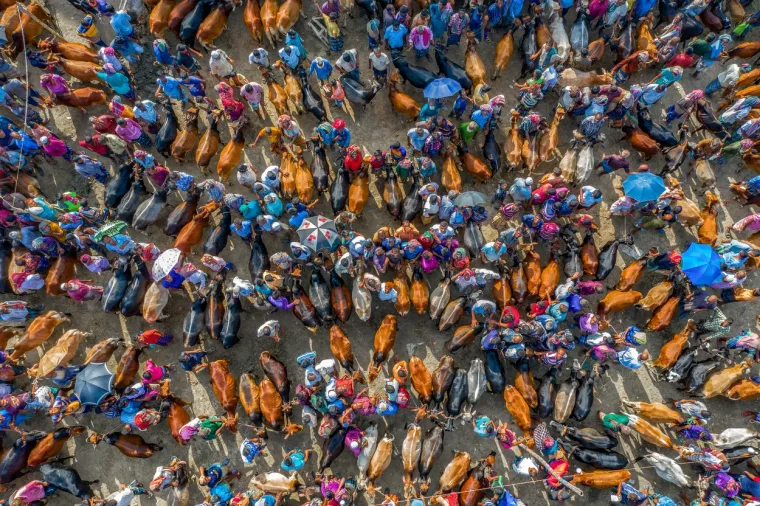 Fotograf Abdul Momin iz zraka je snimio tisuće ljudi na stočnoj tržnici u Bangladešu. Foto: Profimedia