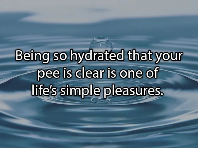 Kada si toliko hidriran da ti je mokraća prozirna jedan je od onih malih životnih užitaka.