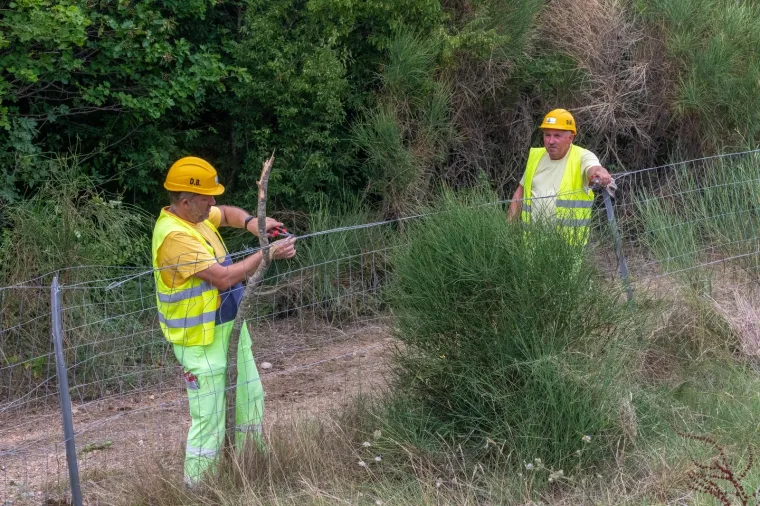 STRAVIČNA NESREĆA KOD VODNJANA: Izletio s ceste i na mjestu poginuo