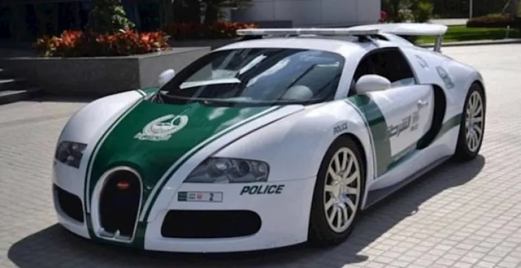 Tigar umjesto psa? Ove prizore možete vidjeti samo ako posjetite Dubai