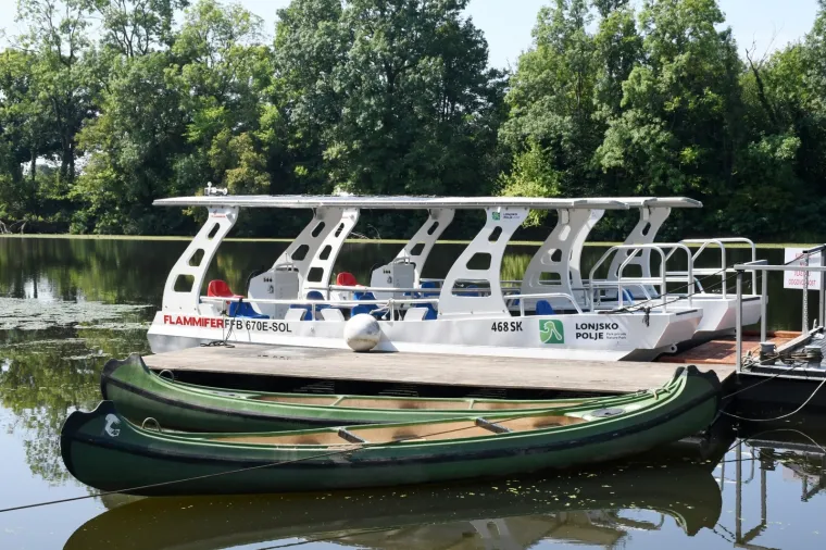 Najnovija atrakcija u Lonjskom polju: Pogled na samozatajnu priroda iz kanua i čamca na solarni pogon
