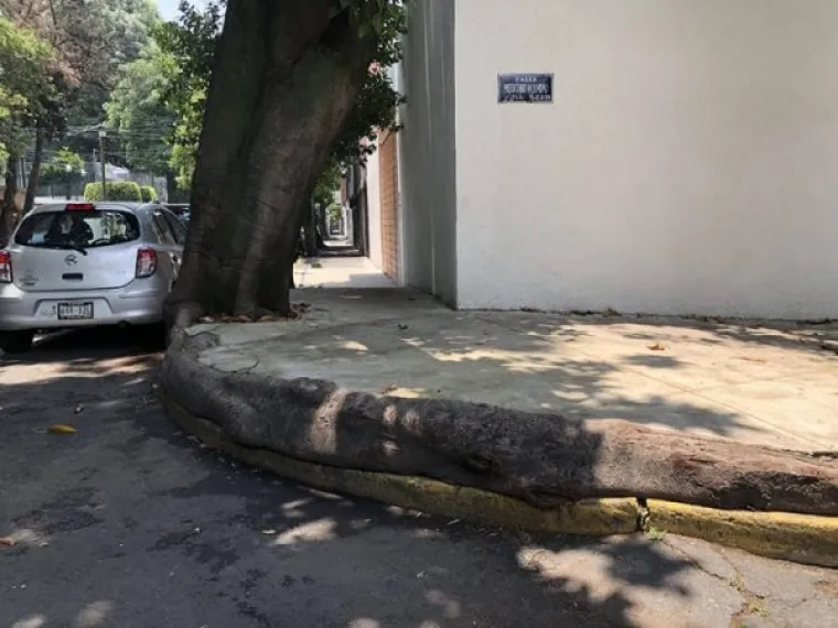 OPTIČKE VARKE KOJE ĆE VAS NASMIJATI DO SUZA: Dobro se zagledajte u ove fotografije i poku&scaron;ajte ostati ozbiljni