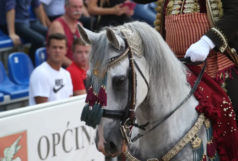 Foto: Ivo Čagalj/PIXSELL