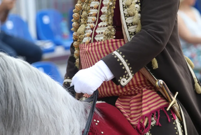 Foto: Ivo Čagalj/PIXSELL