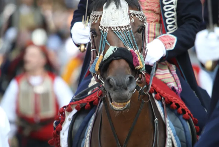 Foto: Ivo Čagalj/PIXSELL
