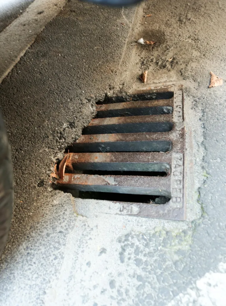 Brojni građani, nezadovoljni uređenjem sustava odvodnje te visokim cijenama za vodoopskrbu i odvodnju te najvećim prirezom u zemlji (18 posto) dali su podršku Blagusu i Vorbergeru te sami počeli fotografirati štetu u svojim stanovima, ali i zapuštene šahtove. Foto: Emica Elvedji/PIXSELL