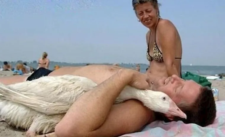 Djedica u bikiniju? Ovo su najluđi prizori s mora!