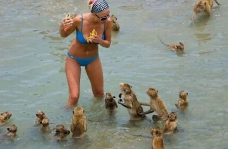 Djedica u bikiniju? Ovo su najluđi prizori s mora!