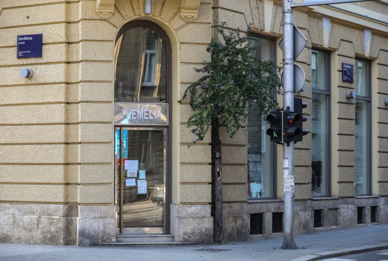 FOTO Neviđen prizor u Zagrebu: Drvo izraslo - iz zgrade!