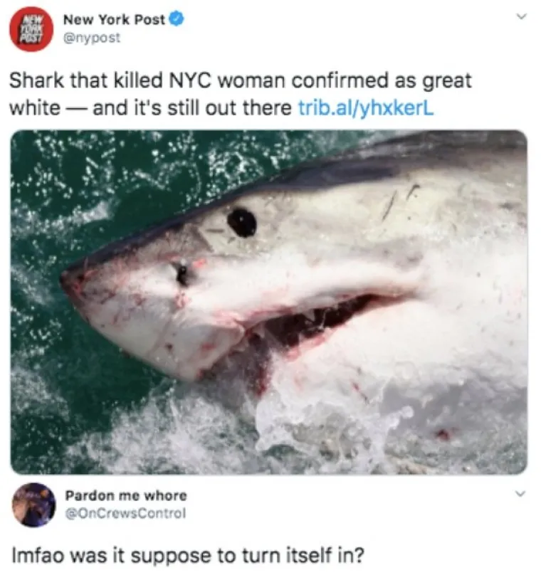 OK, MORATE PRIZNATI, OVO JE GENIJALNO: Odgovori na dru&scaron;tvenim mrežama koji su prava mala remek-djela