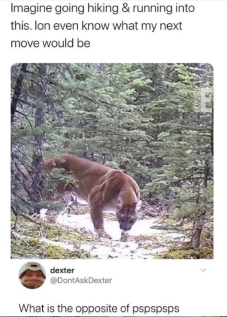 OK, MORATE PRIZNATI, OVO JE GENIJALNO: Odgovori na dru&scaron;tvenim mrežama koji su prava mala remek-djela