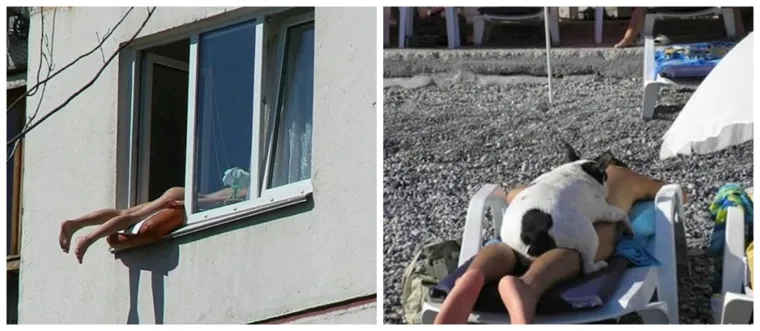 Ove urnebesne fotke prikazuju prave čari ljeta