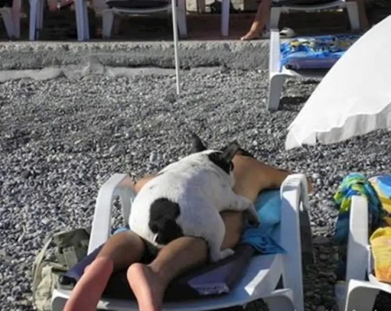 Ove urnebesne fotke prikazuju prave čari ljeta