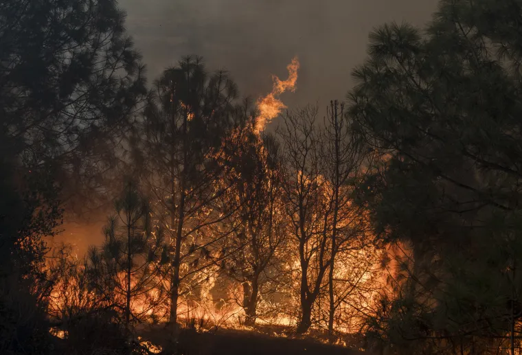 Vatrena stihija zahvatila &scaron;umu i izazvala tornado: 'Bilo je vruće, atmosferski nestabilno'