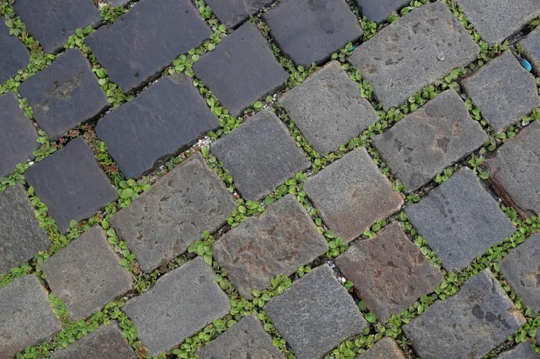 Koronavirus ili masovni godi&scaron;nji odmori? Pogledajte jezivo puste ulice Zagreba!