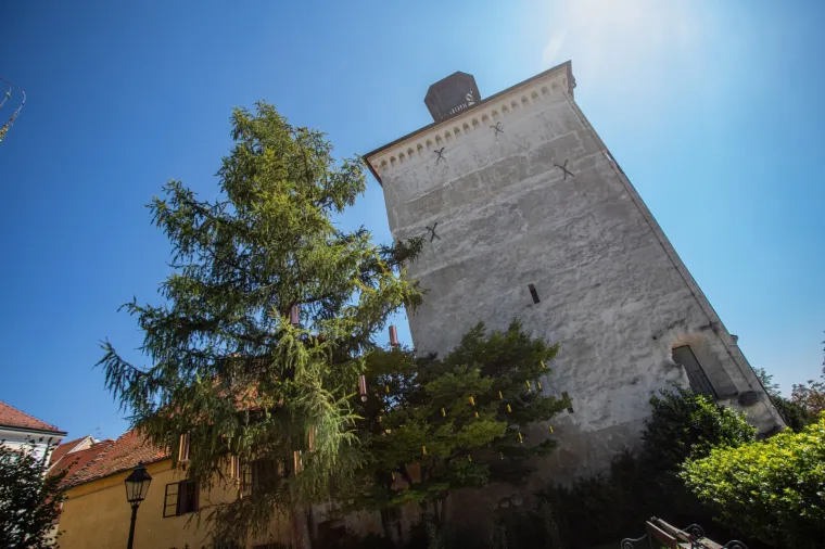 Sjećate li se slomljenog srca koje je obi&scaron;lo svijet? Pro&scaron;ećite 'Okolo' ljep&scaron;om stranom Zagreba - posveta 'ranjenome gradu'
