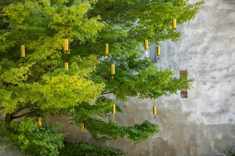 Sjećate li se slomljenog srca koje je obi&scaron;lo svijet? Pro&scaron;ećite 'Okolo' ljep&scaron;om stranom Zagreba - posveta 'ranjenome gradu'