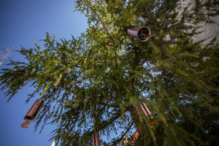 Sjećate li se slomljenog srca koje je obi&scaron;lo svijet? Pro&scaron;ećite 'Okolo' ljep&scaron;om stranom Zagreba - posveta 'ranjenome gradu'