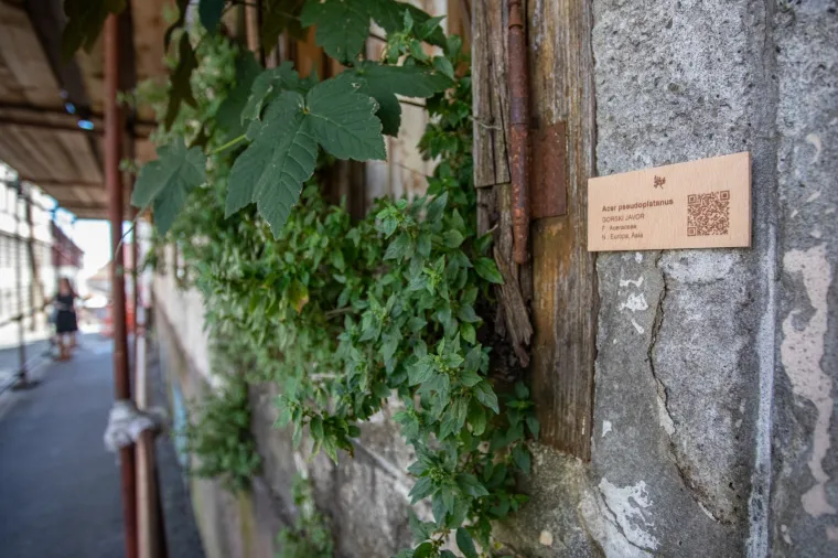 Sjećate li se slomljenog srca koje je obi&scaron;lo svijet? Pro&scaron;ećite 'Okolo' ljep&scaron;om stranom Zagreba - posveta 'ranjenome gradu'