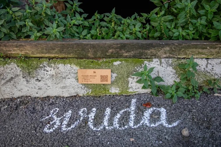 Sjećate li se slomljenog srca koje je obi&scaron;lo svijet? Pro&scaron;ećite 'Okolo' ljep&scaron;om stranom Zagreba - posveta 'ranjenome gradu'