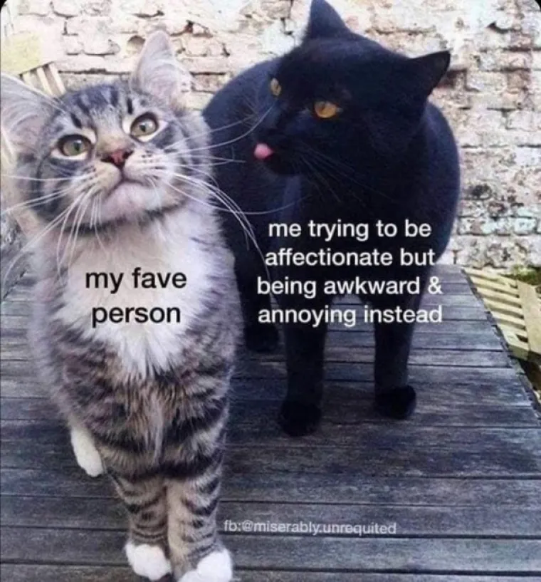 FLERTANJE NIKAD NIJE BILO LAK&Scaron;E ZAHVALJUJUĆI MEMOVIMA: Ovo su situacije u kojima se mogu prepoznati svi parovi