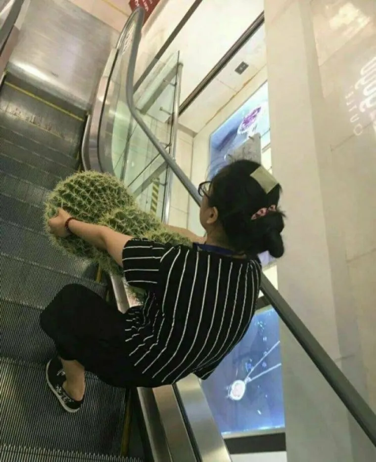 NETKO GORE STVARNO ČUVA BUDALE: Glupi ljudi izvode gluposti, to je logično... Ali ovo?!