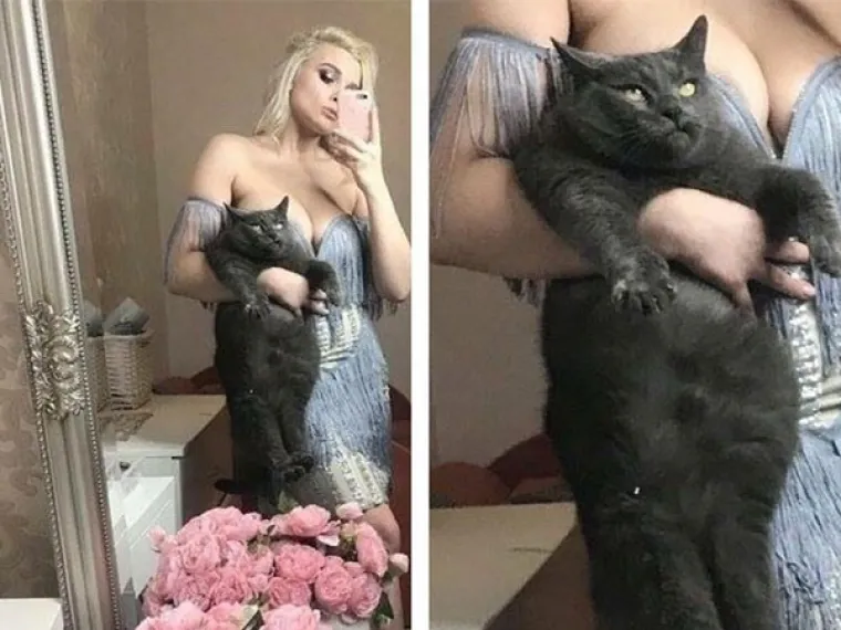 JESU LI OVO NAJURNEBESNIJE MAČKE INTERNETA? Njihovi vlasnici svaki dan imaju besplatni 'Stand Up'