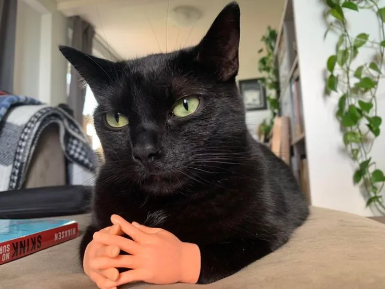 HUMOR JE NJIHOVA SUPERMOĆ: Ako smijeh produžuje život, njihovi bližnji će živjeti jako dugo